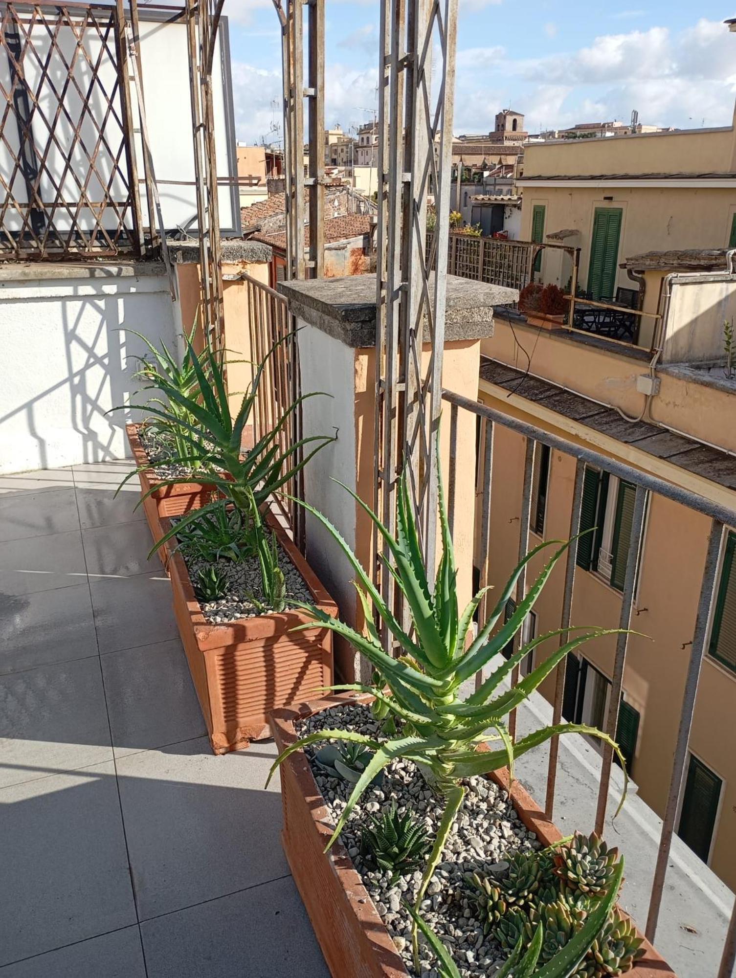 Colosseum Exclusive Duplex Rome Luaran gambar